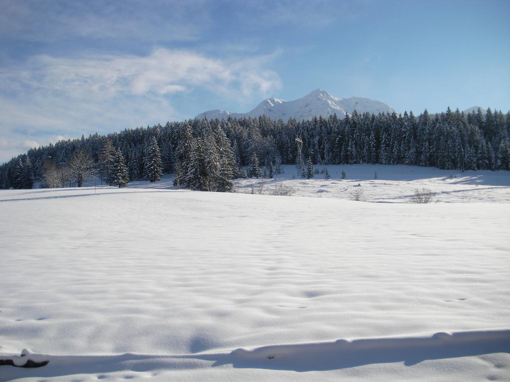 Haus Hubertus Apartment Hochfilzen Bagian luar foto